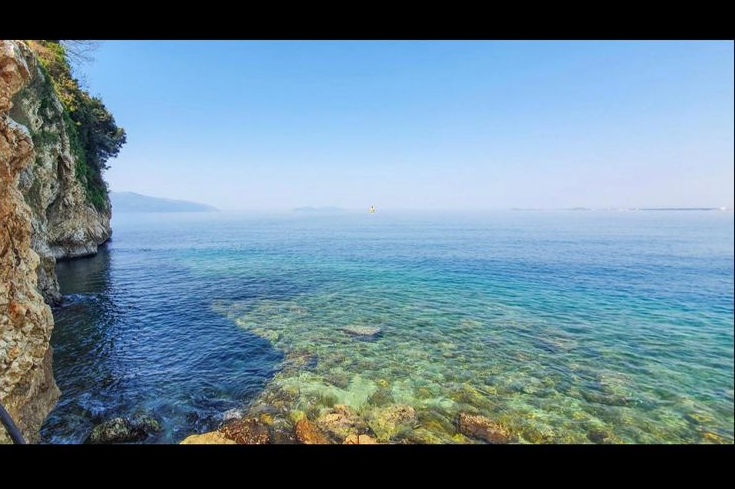 Thumbnail 22